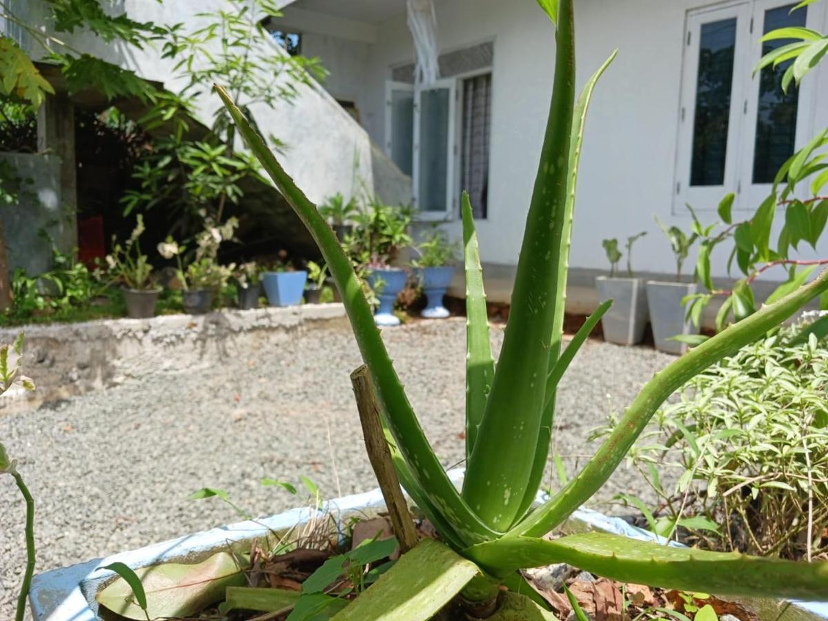 Villa Diamond Nest Unawatuna Bagian luar foto